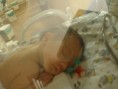 /album/fotos/pedrinho-maternidade-2009-29-jpg/